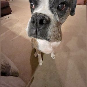 Meet your Posher, Jess